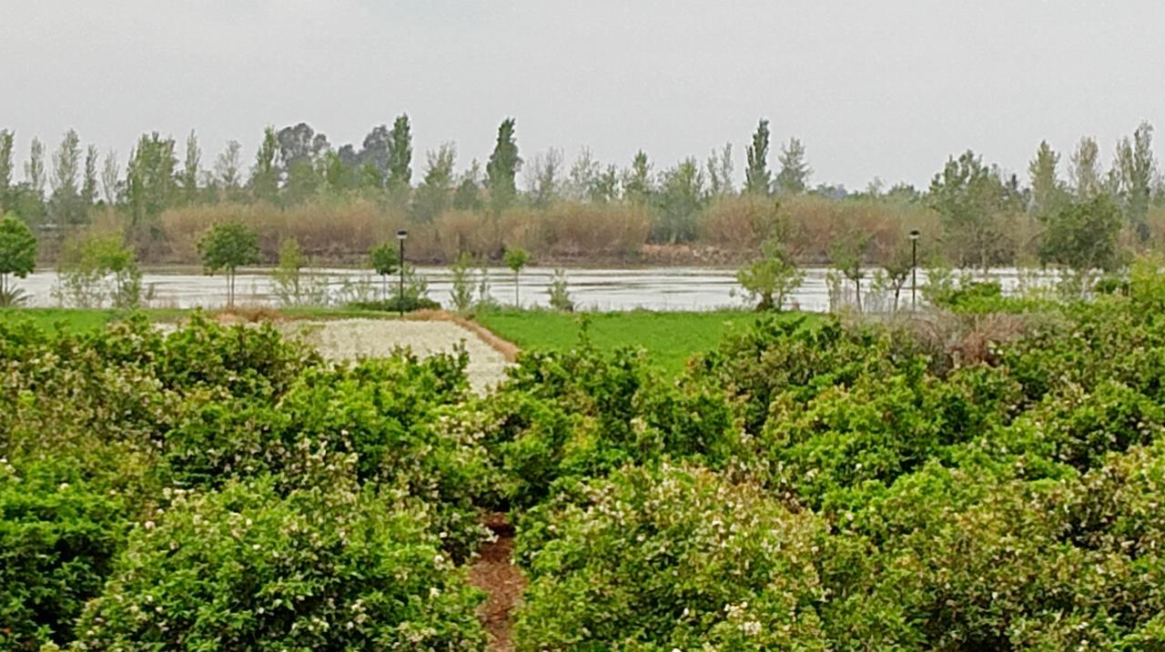 La Caseta Del Pitxo Deltebre Bagian luar foto